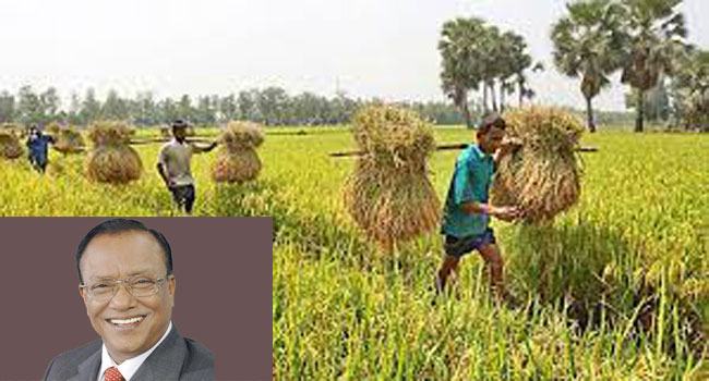 কৃষি- করোনা সঙ্কটে অর্থনীতির চালিকাশক্তি