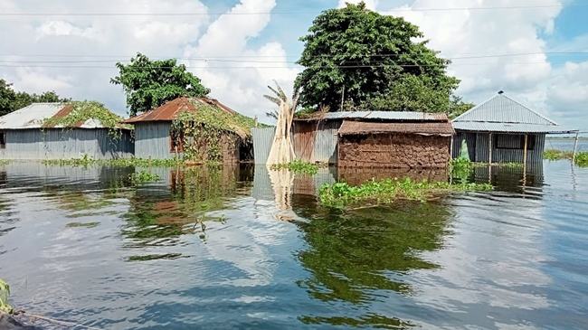 দৌলতপুরে বন্যা কবলিত ১৭ গ্রাম, পানিবন্দি হাজারো মানুষ