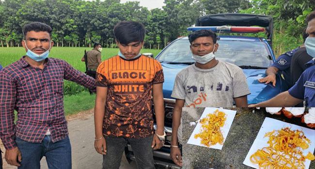 চুয়াডাঙ্গায় প্রাইভেটকার ও আড়াই কেজি সোনাসহ আটক ৩