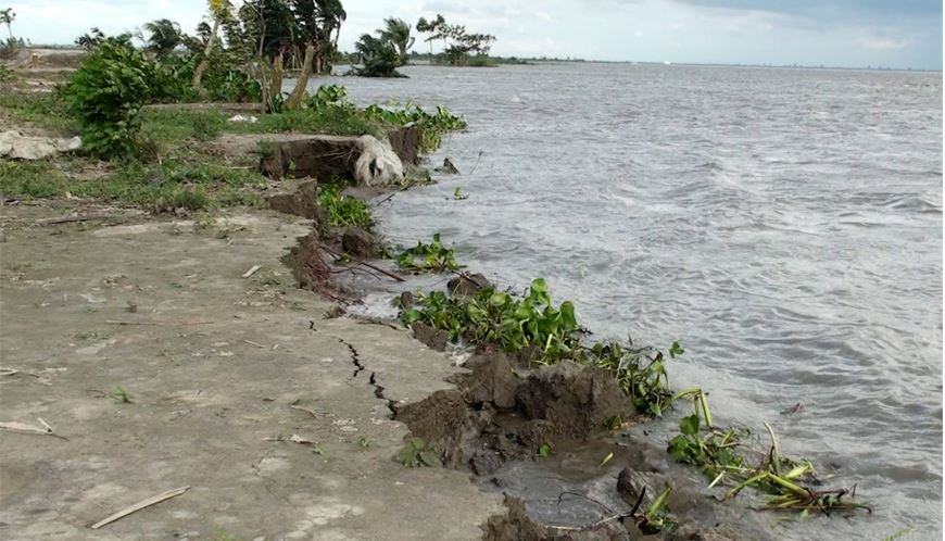 পদ্মা-মেঘনার ভাঙনে বিলীন হচ্ছে শিলাচর গ্রাম
