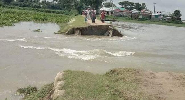 জামালগঞ্জে হাওরের বাঁধ কাটল দুষ্কৃতিকারীরা, আমনচাষীদের মাথায় হাত