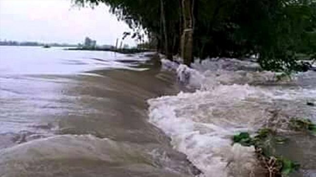 যমুনায় আরিচা পয়েন্টের পানি বিপৎসীমার উপরে