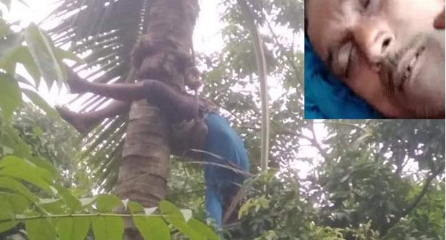 চৌগাছায় বিদ্যুৎস্পৃষ্টে কৃষকের মৃত্যু