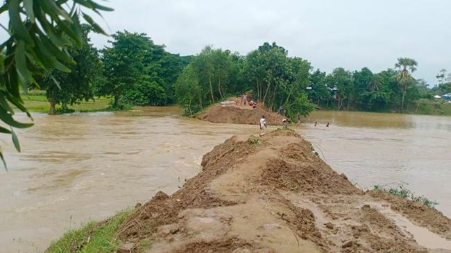 ফেনীর মুহুরী নদীর বাঁধ ভেঙে প্লাবিত ফুলগাজীর ৭ গ্রাম
