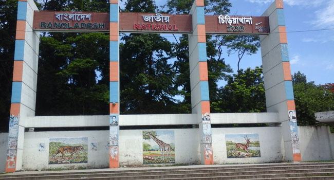শুক্রবার খুলছে ঢাকা ও রংপুরের চিড়িয়াখানা