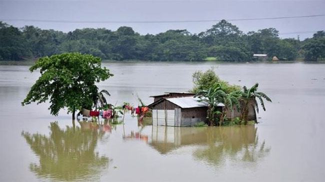 যমুনায় পানি বৃদ্ধি অব্যাহত