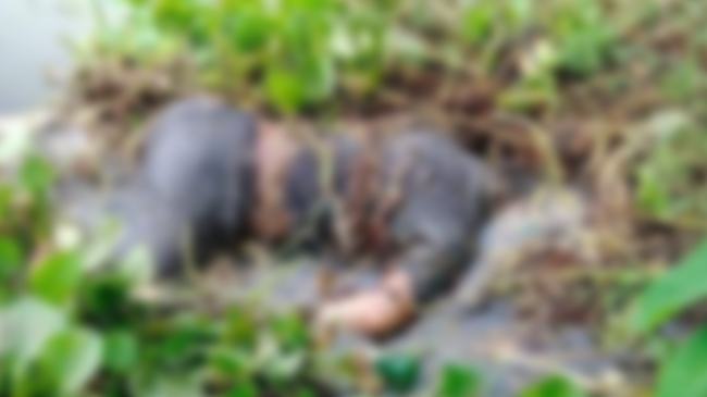 কুষ্টিয়ার জলাশয় থেকে যুবকের লাশ উদ্ধার