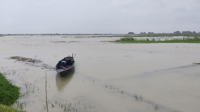 ইসলামপুরে হাজার হাজার একর জমির ফসল পানির নিচে