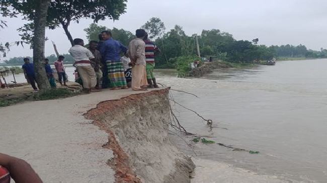 বন্যা পরিস্থিতির অবনতি, পানিবন্দি দেওয়ানগঞ্জের ২ হাজার পরিবার