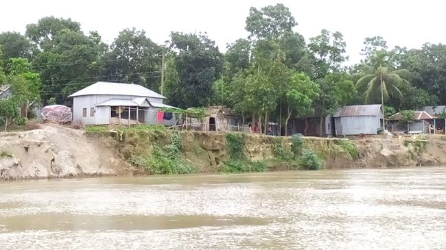 মানিকগঞ্জে পানি বৃদ্ধির সাথে ভয়ংকর হয়ে উঠছে নদী ভাঙন