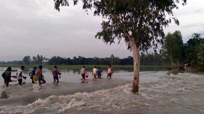 বন্যায় ভাসছে ইসলামপুর, নদী ভাঙনে বিলীন ৫ শতাধিক ঘরবাড়ি