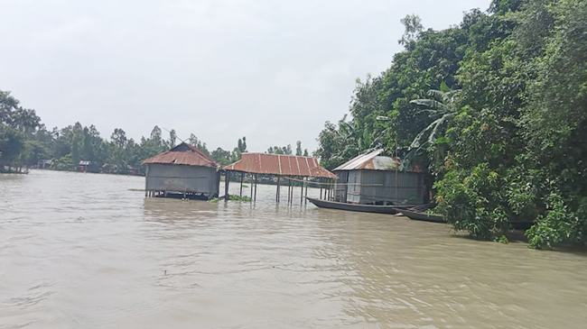 তিস্তায় সহস্রাধিক পরিবার পানিবন্দী