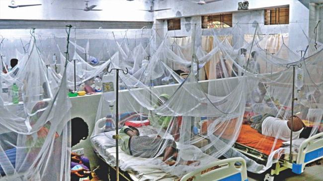 ডেঙ্গুর প্রকোপ, আরো ৩১৫ জন হাসপাতালে