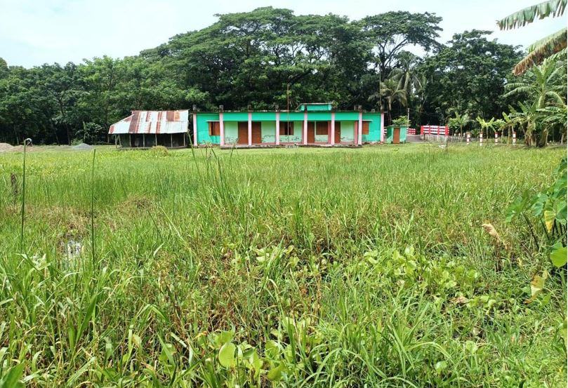 স্কুলমাঠে পানি ও কচুরিপানার জঙ্গল