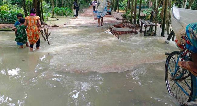 মির্জাগঞ্জে জোয়ারের পানিতে প্লাবিত নিম্নাঞ্চল
