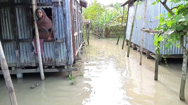 শরীয়তপুরে পদ্মার পানি বৃদ্ধি, নতুন নতুন এলাকা প্লাবিত