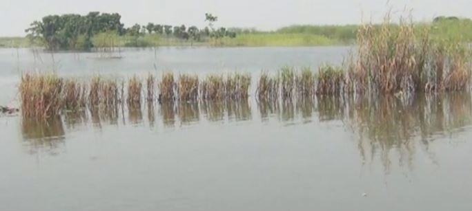 রাজবাড়ীতে পদ্মার পানি কমলেও, কমেনি বন্যার্তদের দুর্ভোগ