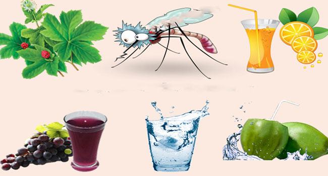 ডেঙ্গু প্রতিরোধ ও প্রতিকারে ঘরোয়া পরামর্শ