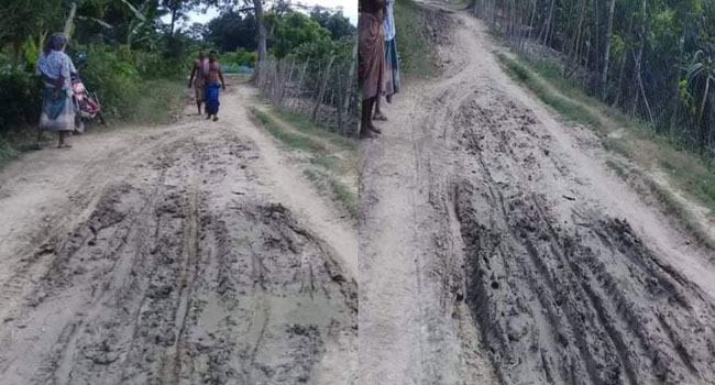 সড়কে ড্রাগন-পেঁয়ারা চাষিদের তারকাটার বেড়া!