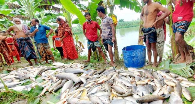মাছের সাথে শত্রুতা!