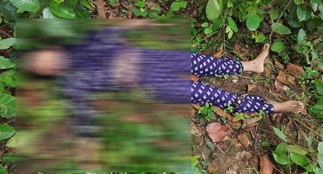 ভাওয়াল জাতীয় উদ্যান নারীর লাশ