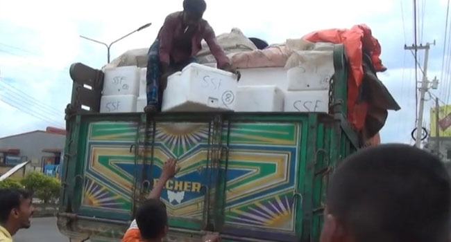ইলিশের ২৩ টনের প্রথম চালান বেনাপোল দিয়ে ভারতে রফতানি