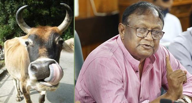 গরু কিনতে গিয়ে প্রতারিত বাণিজ্যমন্ত্রী