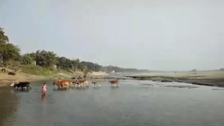 চাকরির খোঁজে বের হয়ে নিখোঁজ, লাশ মিলল ধলেশ্বরীর তীরে