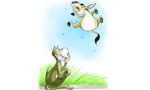 গাধাটি আকাশে উড়ছিল