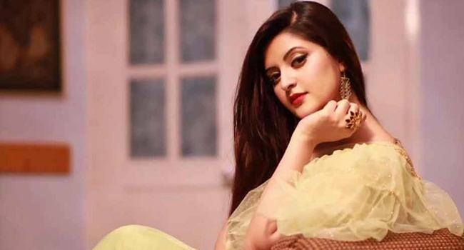 অভিযোগপত্রে পরীমণির বিরুদ্ধে যে অপরাধ লেখা হয়েছে