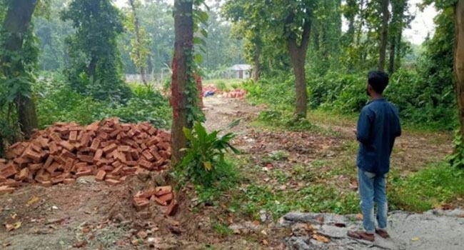 বন বিভাগের গাছ কেটে রাস্তা নির্মাণের অভিযোগ