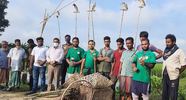 ফের মুক্ত আকাশে উড়লো অর্ধশত বক, ৬ জনের জরিমানা