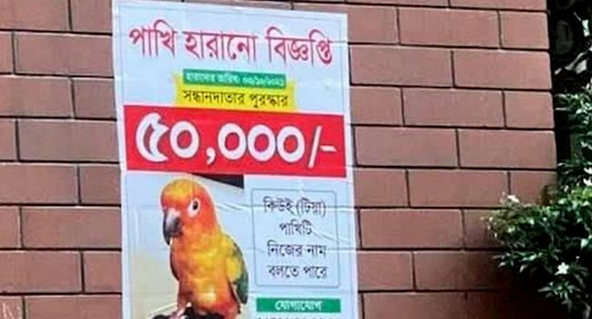 পোষা টিয়ার খোঁজ পেতে পুরস্কার ঘোষণা