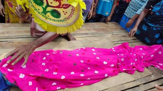 শ্রীপুরে সড়কে প্রাণ ঝরল স্কুলগামী ছাত্রের