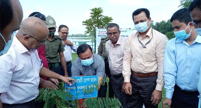 ঠাকুরগাঁওয়ে টাঙ্গন সেচ প্রকল্প পরিদর্শনে পাউবো’র মহাপরিচালক