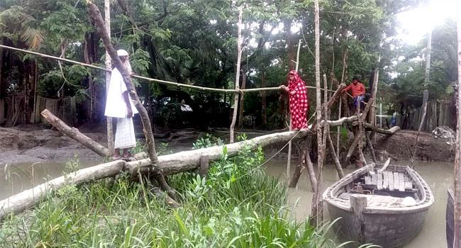 ১৫ বছর ধরে খালে কেওড়া গাছের সাঁকো, জনতার দুর্ভোগ