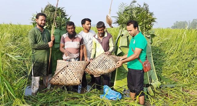 মুক্ত জীবনে ফিরলো ১০১ পাখি