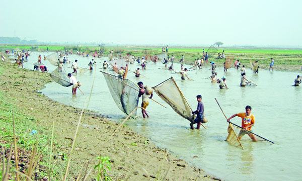 বইদ উৎসব