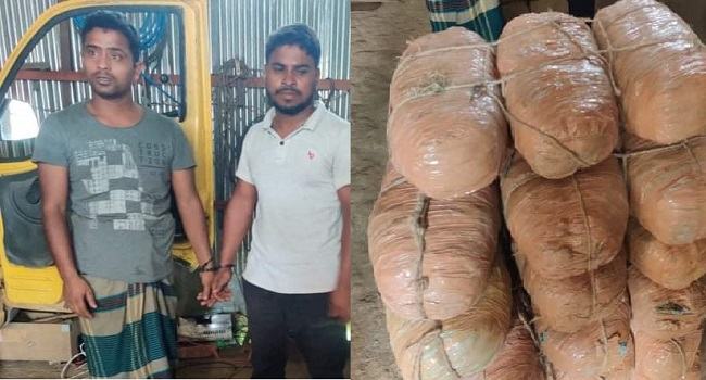 শ্রীপুরে ৩৬ কেজি গাঁজাসহ ২ মাদক কারবারি আটক