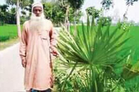 ৩৫ হাজার তালবীজ বপণ করে খোরশেদ আলীর দৃষ্টান্ত স্থাপন