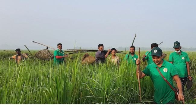 নতুন জীবন পেলো অর্ধশত কালিম পাখি