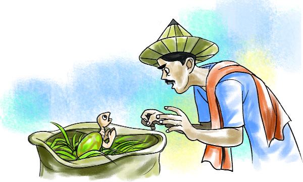 কচ্ছপ ও কৃষক