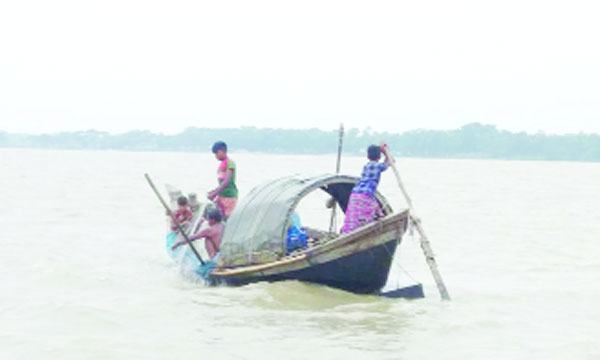 পায়রায় ইলিশের আকাল, খালি হাতেই ফিরছে জেলেরা