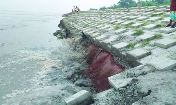 ইসলামপুরে যমুনার বামতীর সংরক্ষণ প্রকল্প বাঁধে ধস