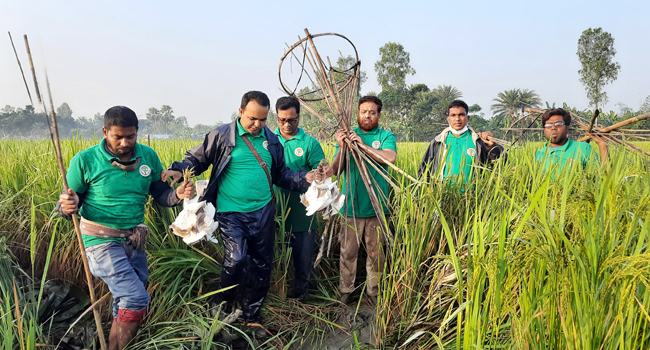 একুশটি বকপাখির নতুন জীবন, কিল্লা ঘর ধ্বংস