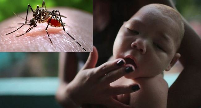 ভারতে জিকা ভাইরাস দ্রুত ছড়িয়ে পড়ায় সতর্কতা জারি