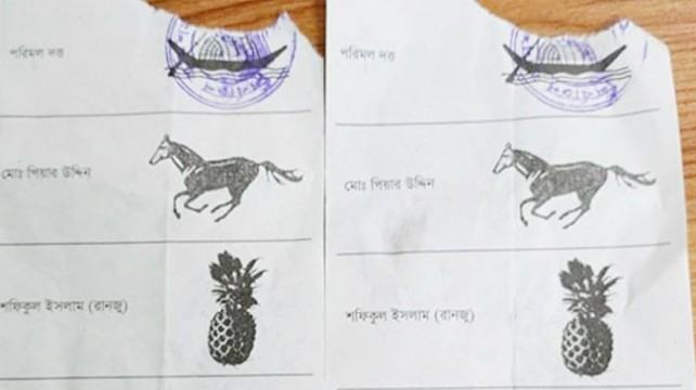 ব্যালট ছিনতাই করে নৌকায় সিল দেয়ার অভিযোগ প্রত্যক্ষদর্শীর