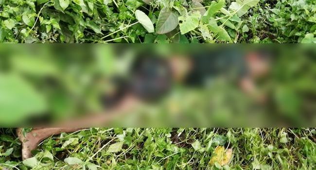 গাজীপুরে পৃথক ঘটনায় পিকআপের হেলপারসহ নিহত ২