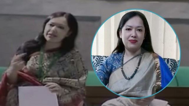 সংবিধানে ধর্মনিরপেক্ষতা নেই বিষয়টি এমন না : রুমিন ফারহানা