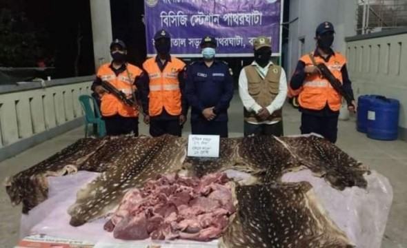 পাথরঘাটায় ৭টি হরিণের চামড়া ও গোস্ত উদ্ধার